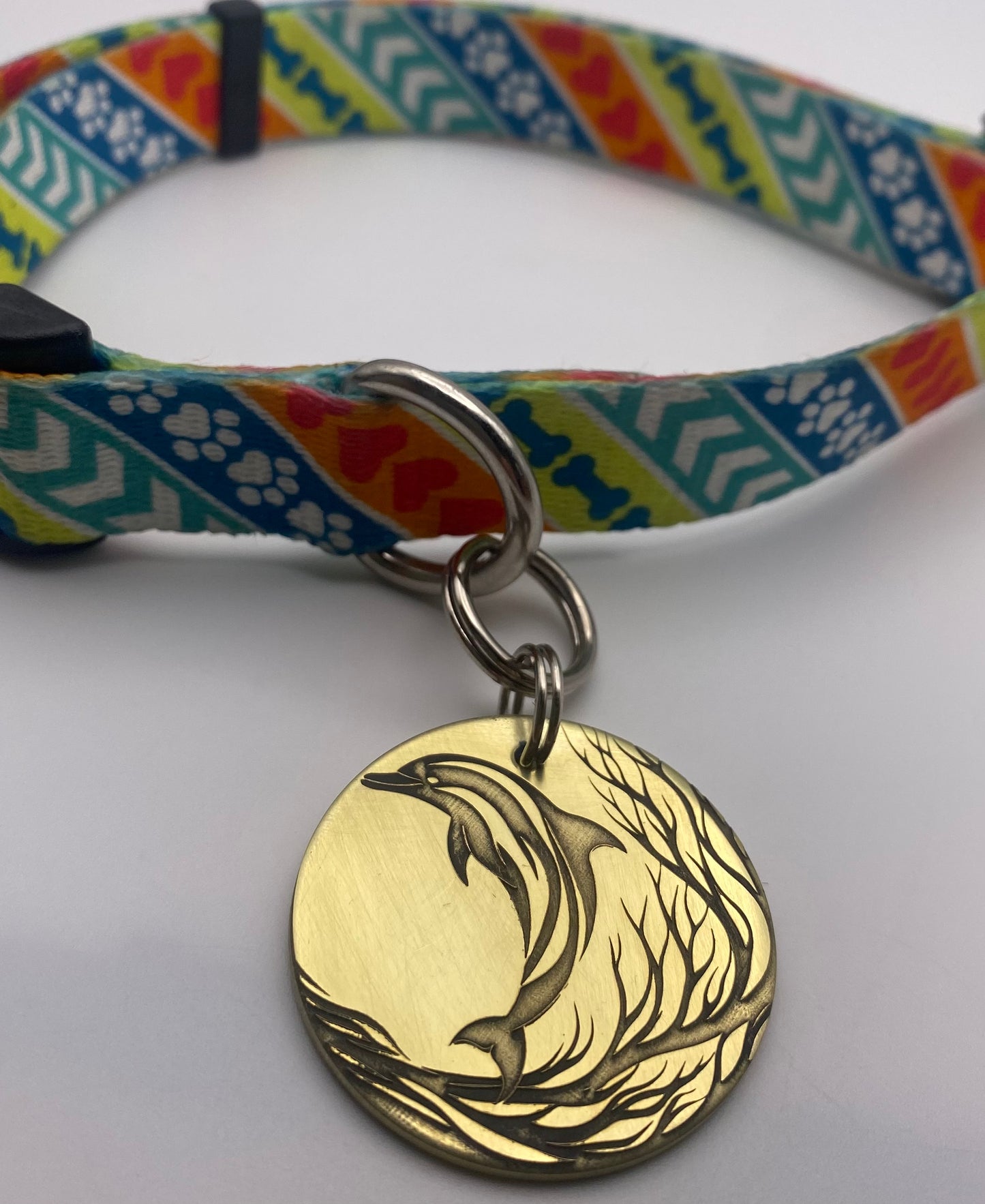 Dolphin pet tag