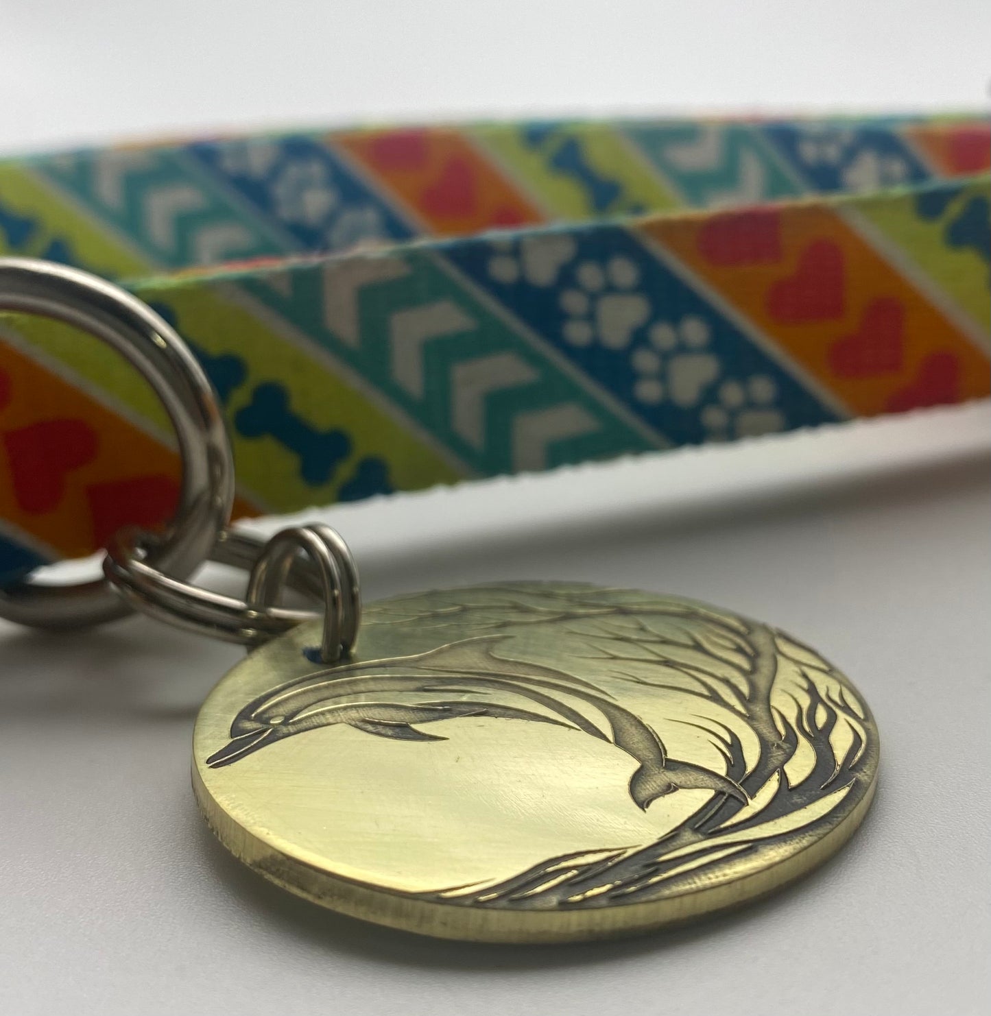 Dolphin pet tag