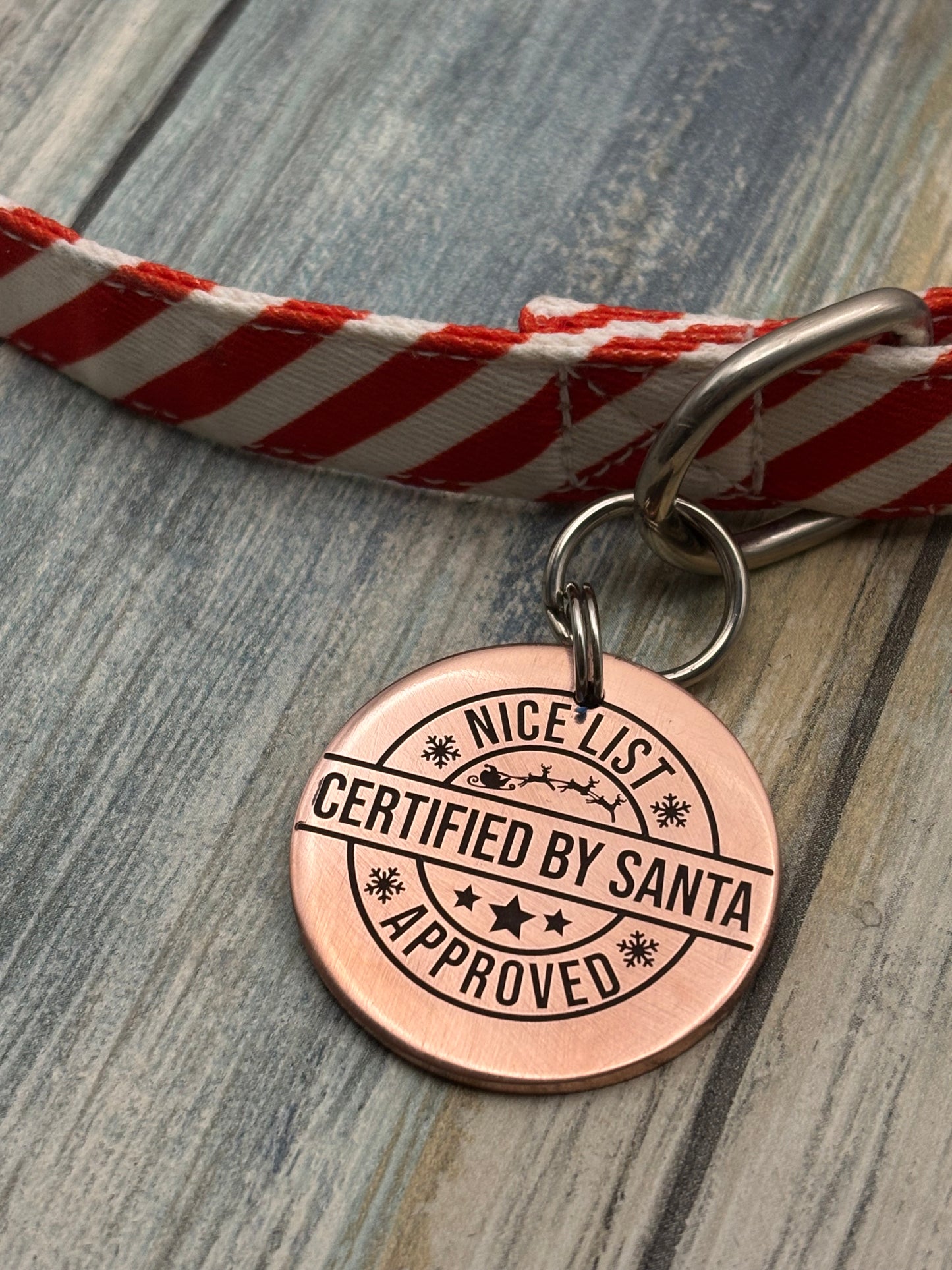 Santa's Nice List pet tag