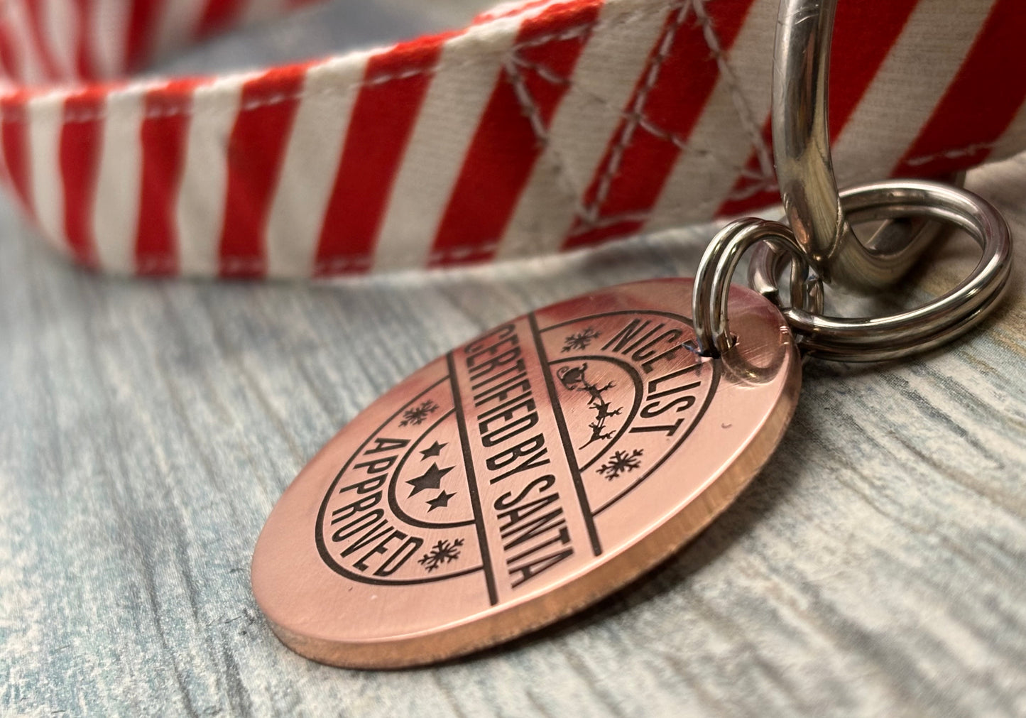 Santa's Nice List pet tag