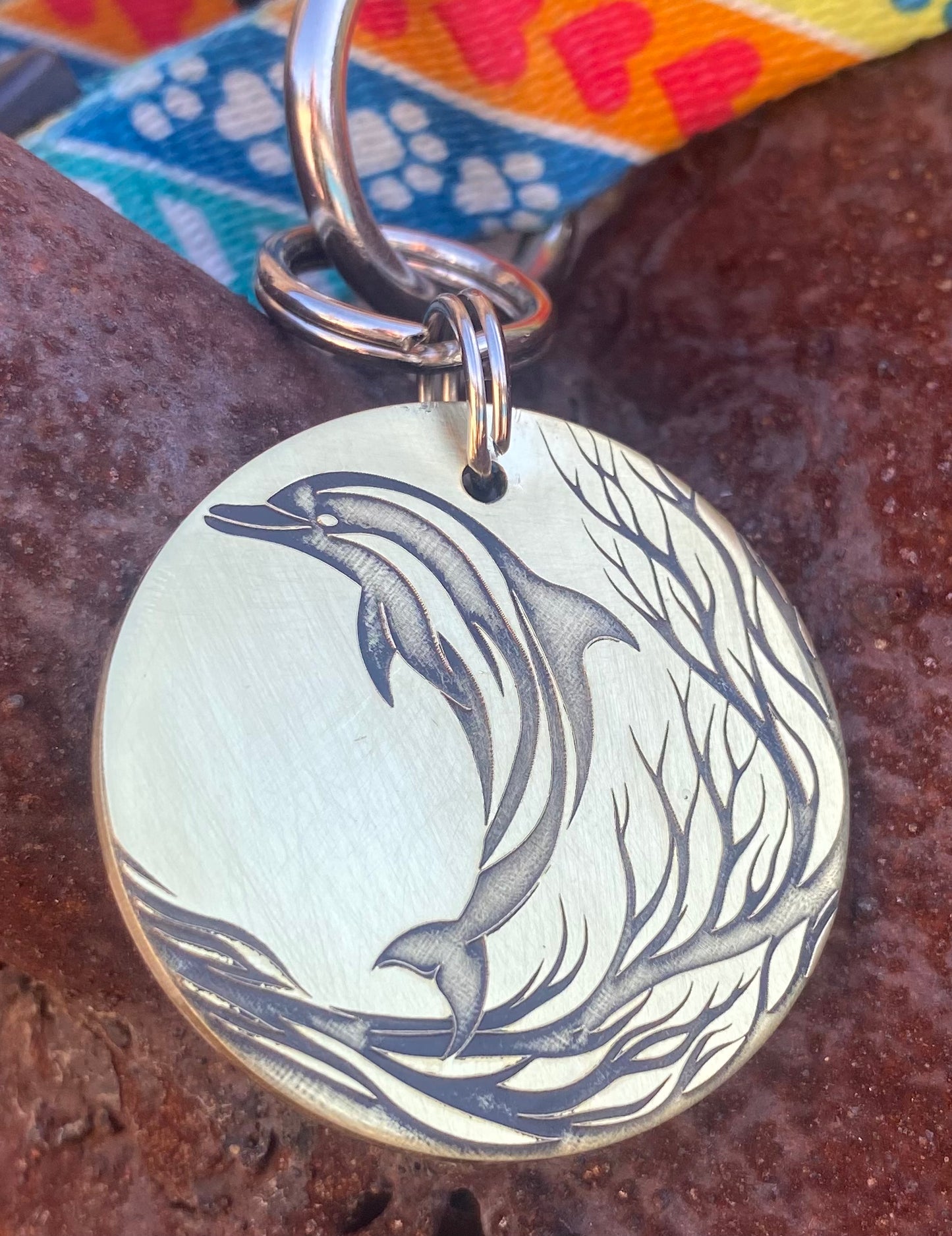 Dolphin pet tag