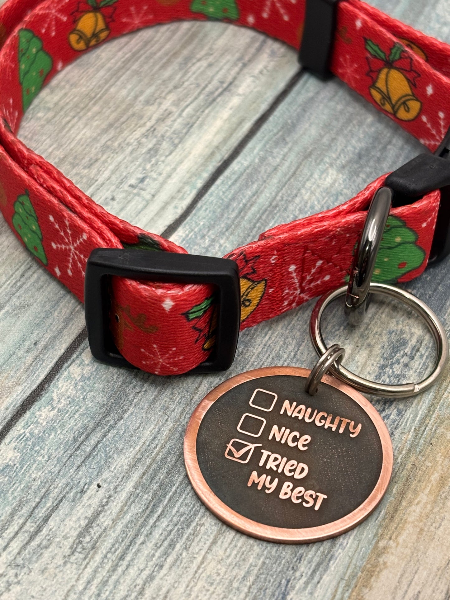 Naughty or nice pet tag
