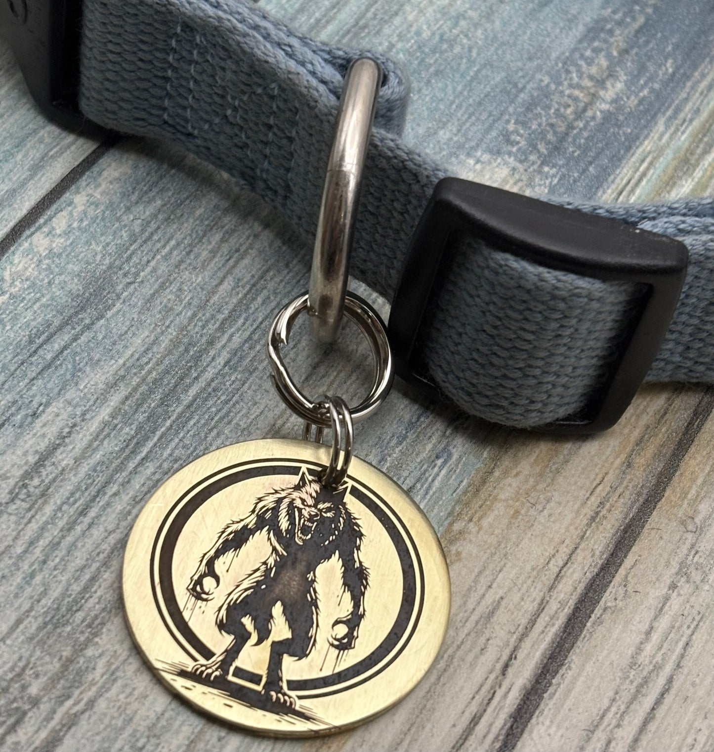 Werewolf pet id tag