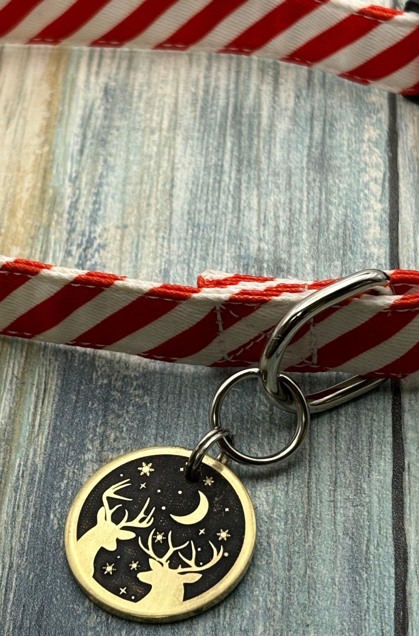 Reindeer Pet Tag