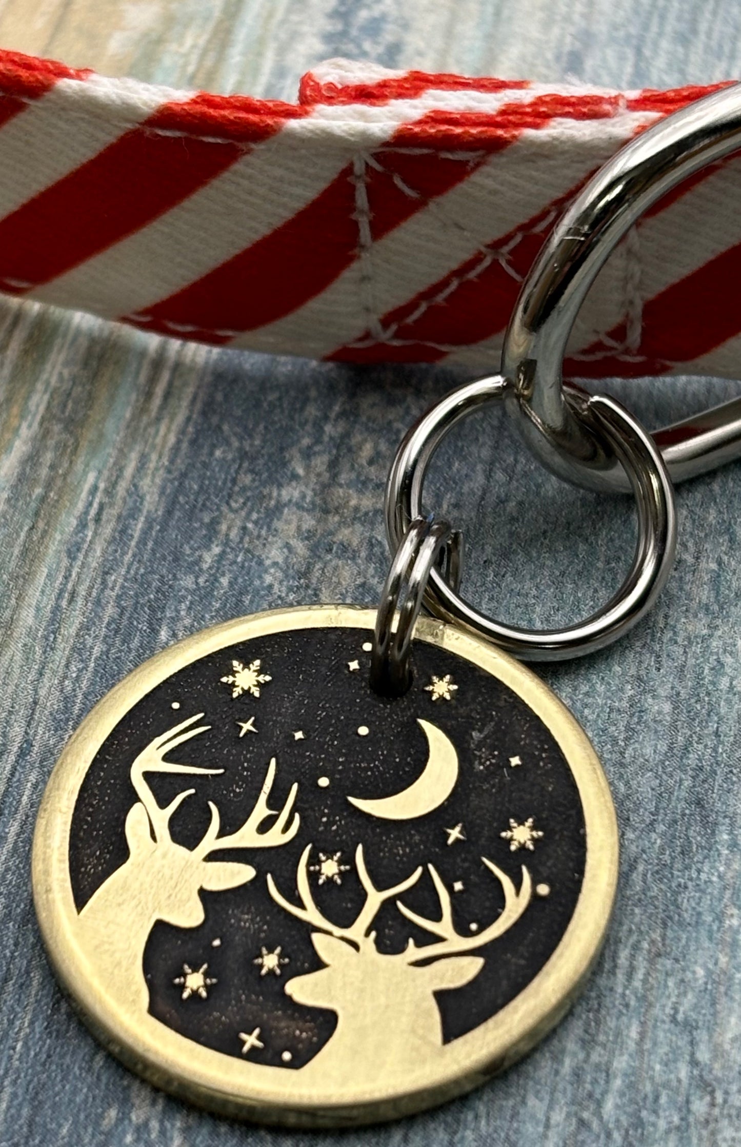 Reindeer Pet Tag