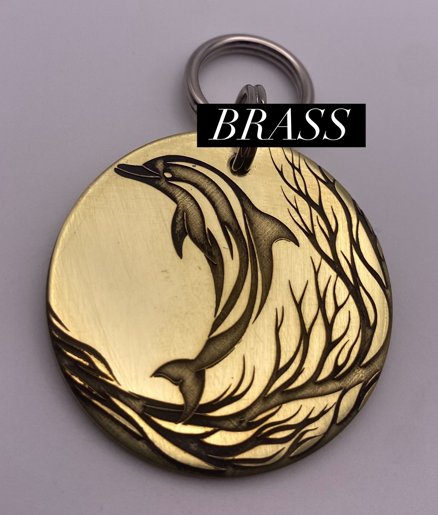 Dolphin pet tag