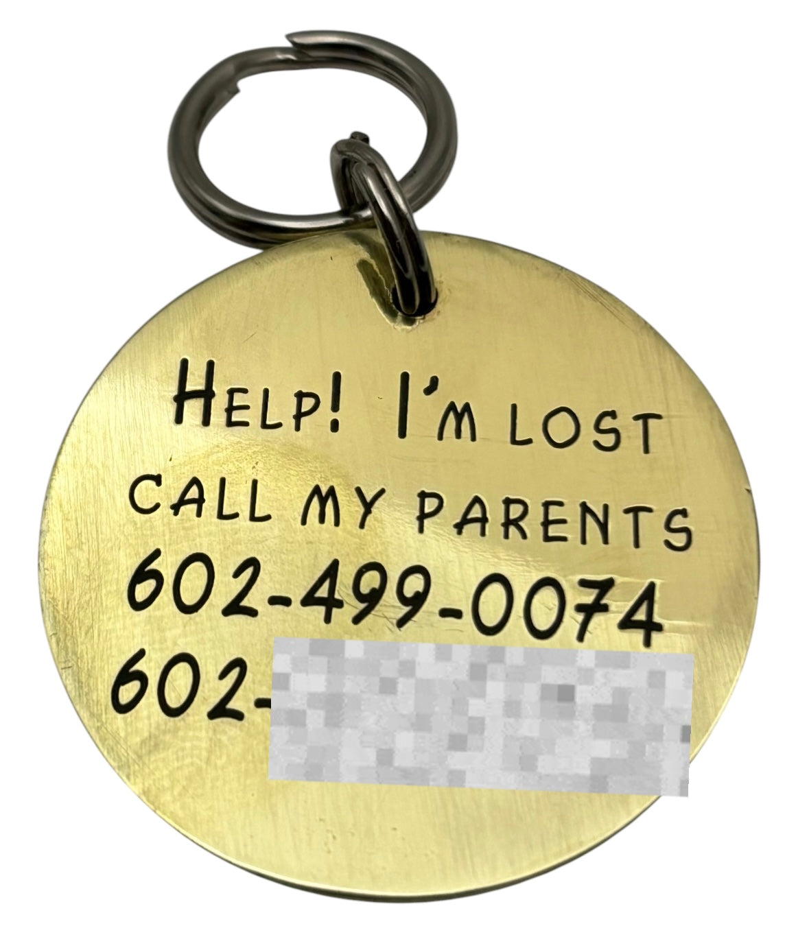 Summertime camping pet id tag