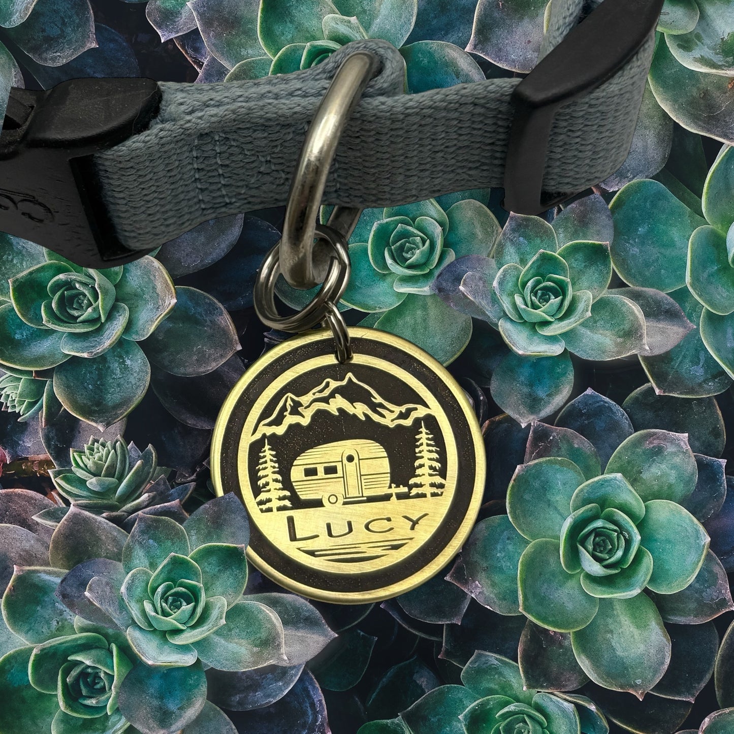 Summertime camping pet id tag
