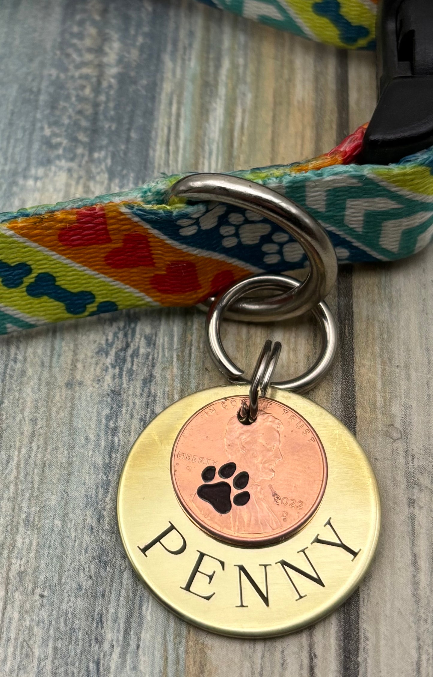 Penny Pet tag