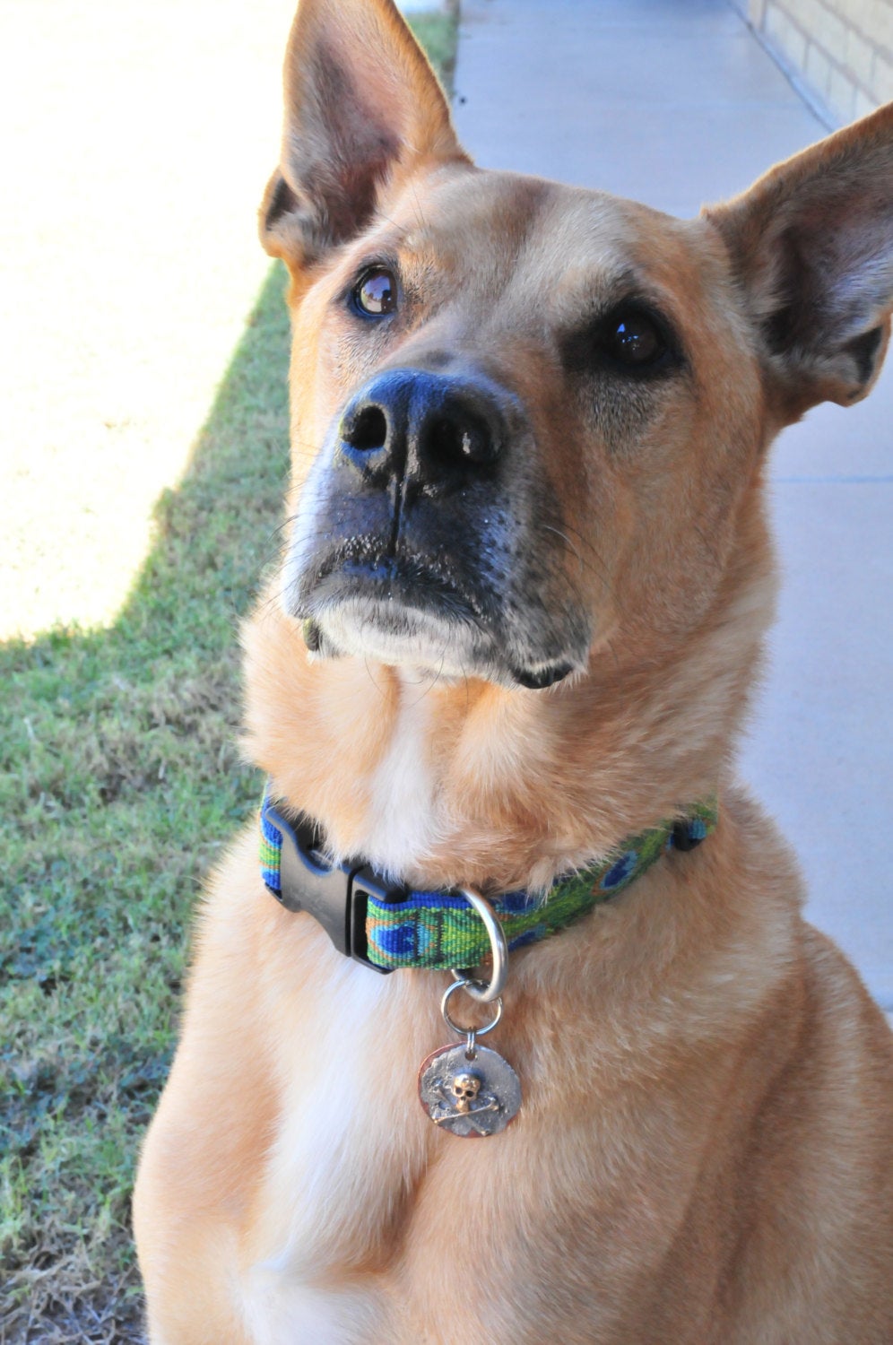 Handcrafted and customized metal pet ID tag